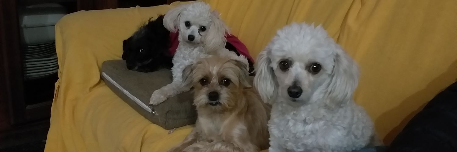 VirGiPacce's profile banner image