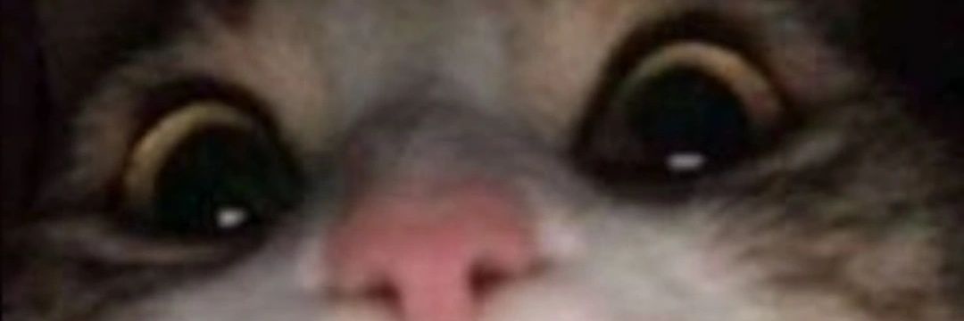 raavlockin STEM 📚 banner