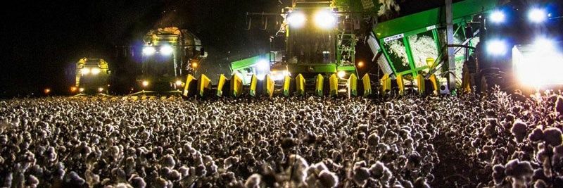 Thrash Report banner