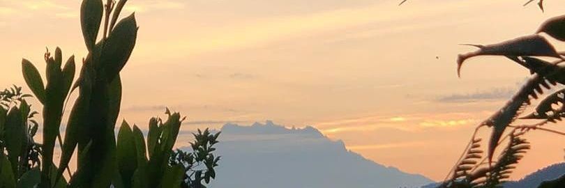 EllihNigel's profile banner image