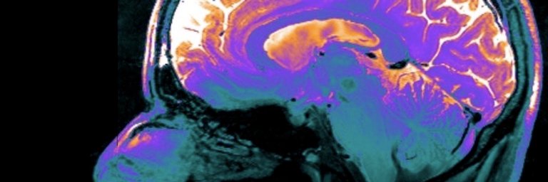jon_cleary's profile banner image