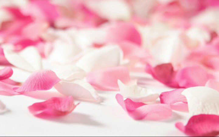 l_laurab's profile banner image