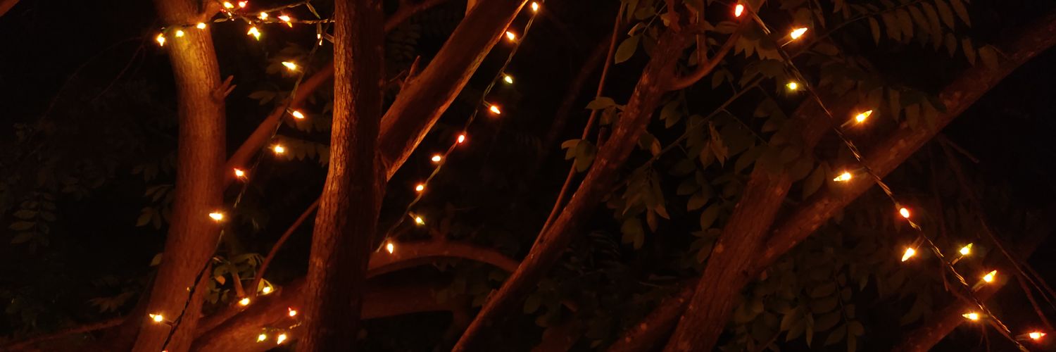diegodnesslm's profile banner image