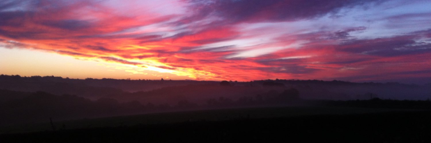 Rachel Williams banner