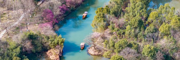 izhejiang Profile Banner