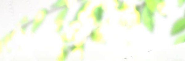 w_nMatt94 Profile Banner