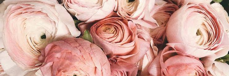 mariloog's profile banner image