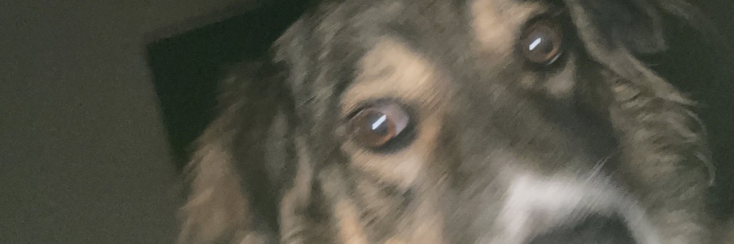 edussaurioo's profile banner image
