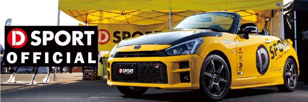 DSPORT_DINA Profile Banner