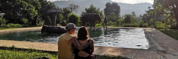 steph_css Profile Banner