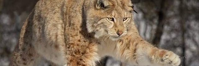 tWERKA🍑 TAYLOR N2&N3 banner