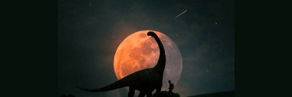 gapnichap Profile Banner