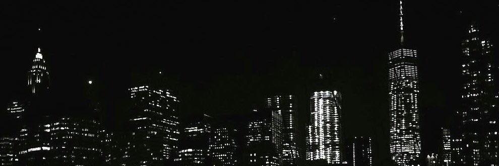 vvenixe's profile banner image
