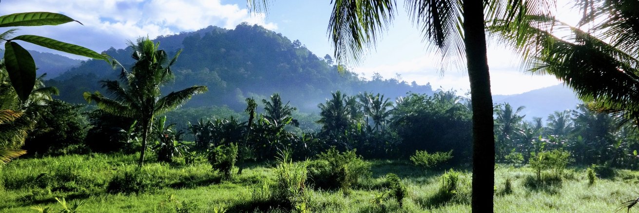 Folke Lemaitre banner