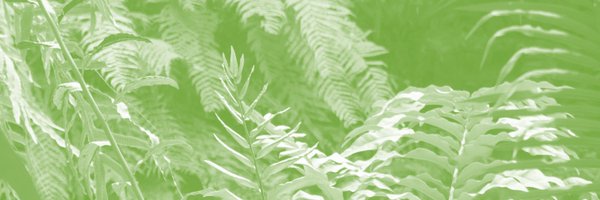 JZBG_MDPI Profile Banner