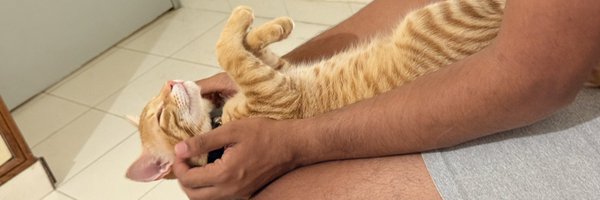 thiisismecrying Profile Banner