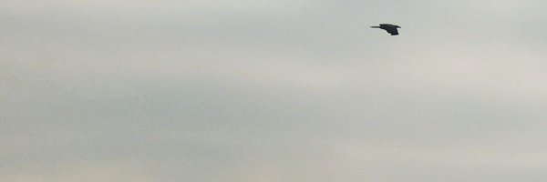 a1kundu Profile Banner