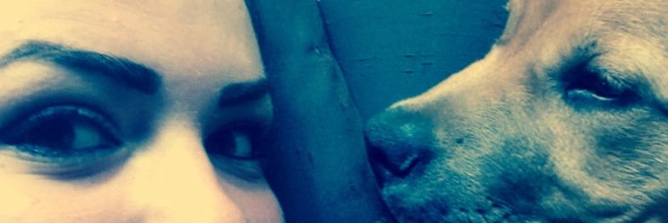 Mona_halima's profile banner image