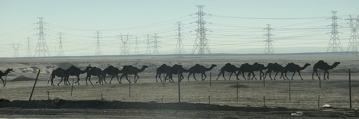 خارج السرب🪶 banner