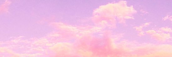 Laraafloress's profile banner image