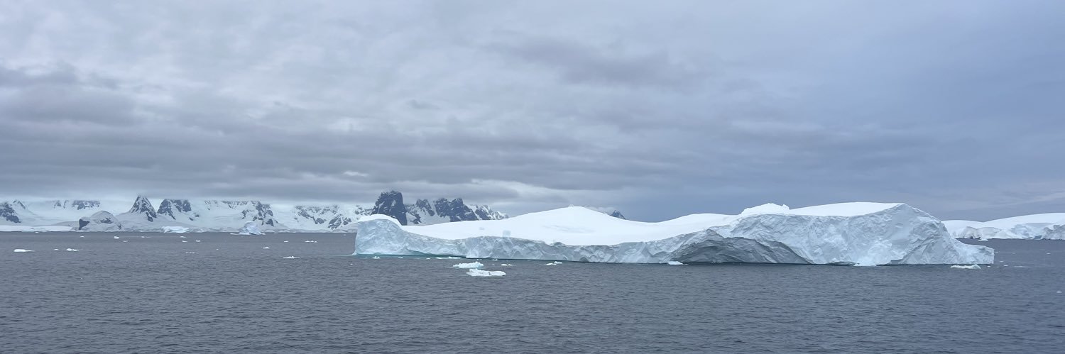 Suresh Borsadia banner