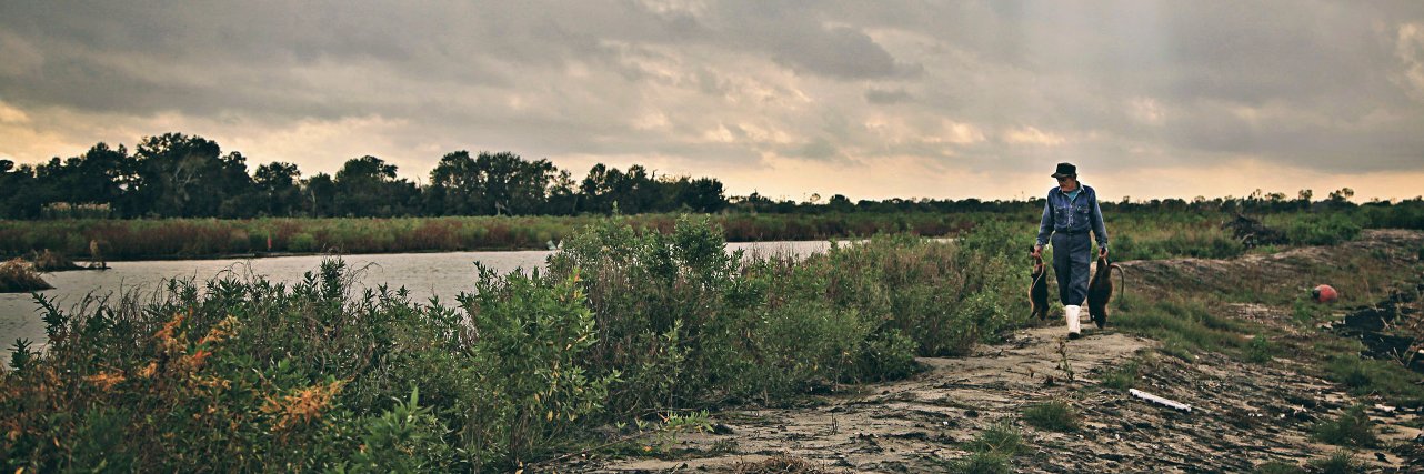 ROUSdocumentary's profile banner image