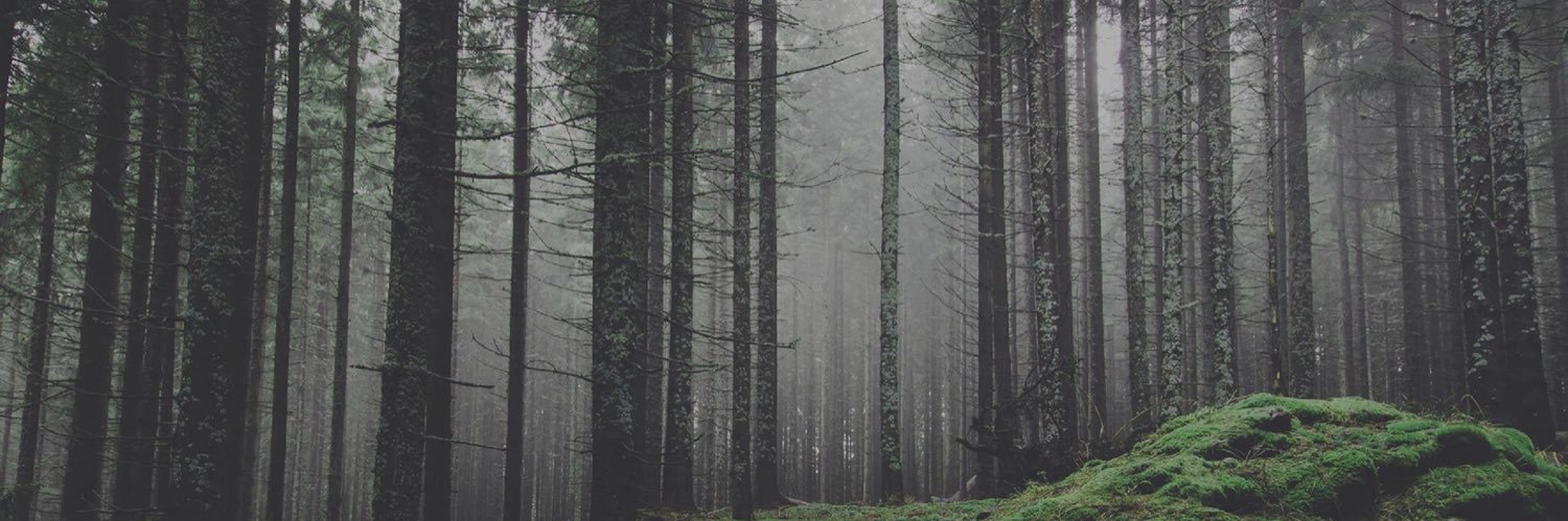 LydiaKitts's profile banner image