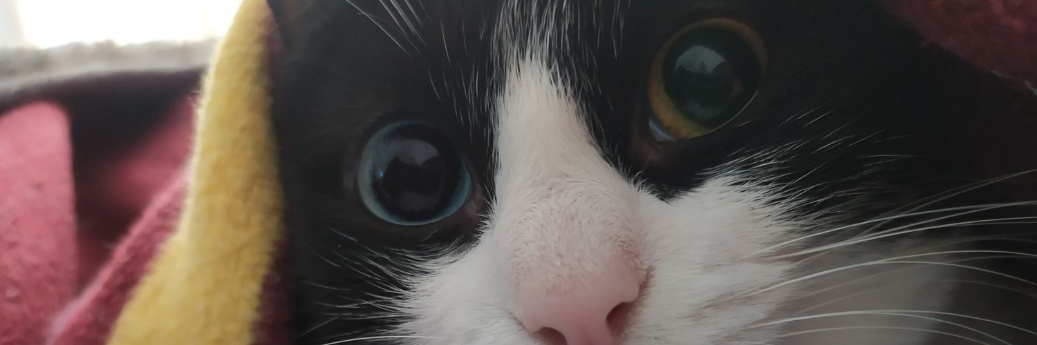 IsRosban's profile banner image