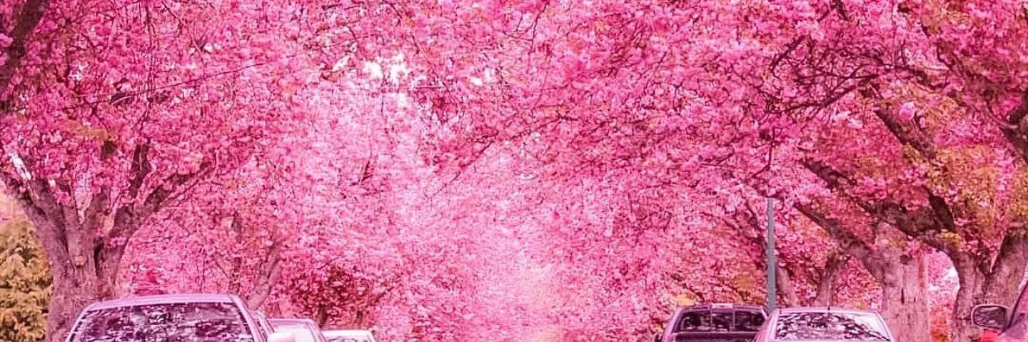 dawndawnw's profile banner image