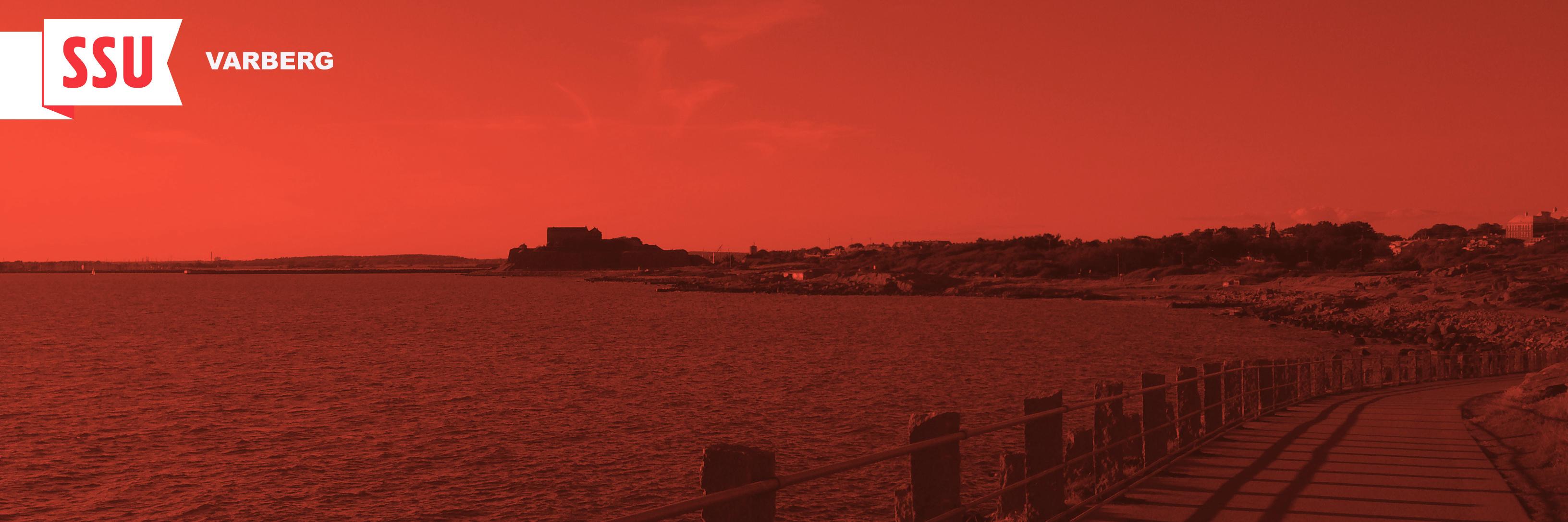 ssuvarberg's profile banner image