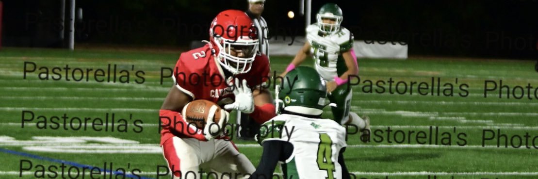 Samese Walker banner