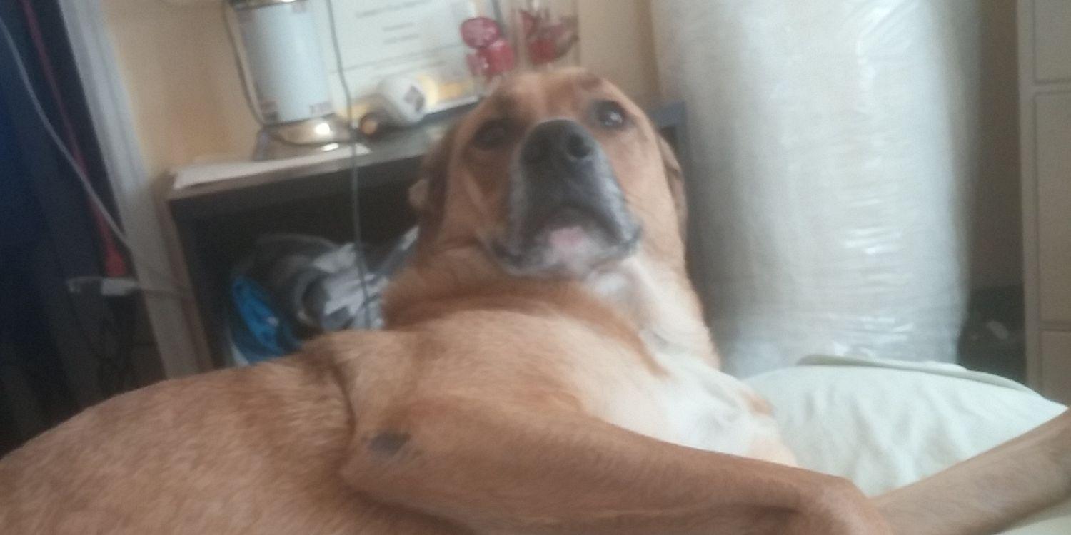 thatoneguy49's profile banner image