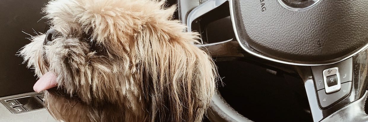 inndraaag's profile banner image