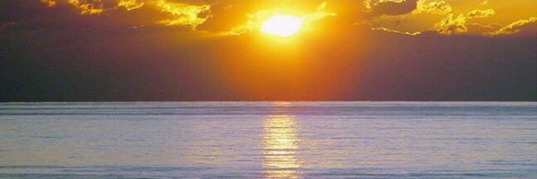 almogiri Profile Banner