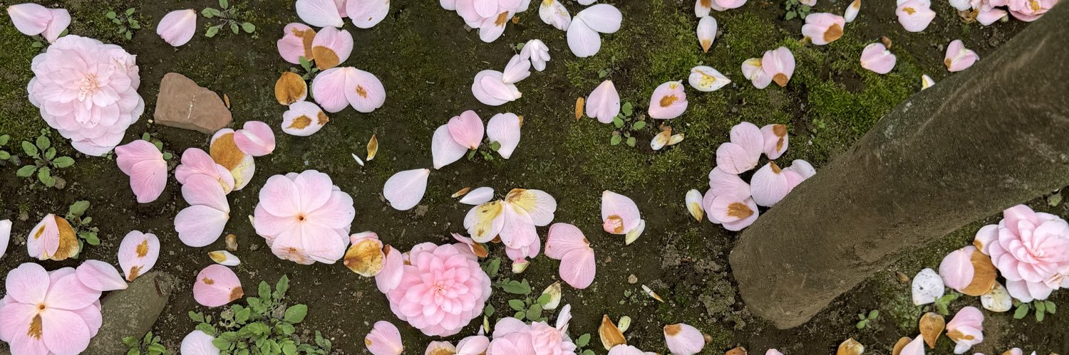 .°⋆san⁷༄ banner