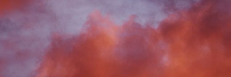 Andrea Bartolomé banner