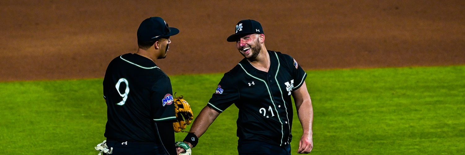 Will Hesslink banner