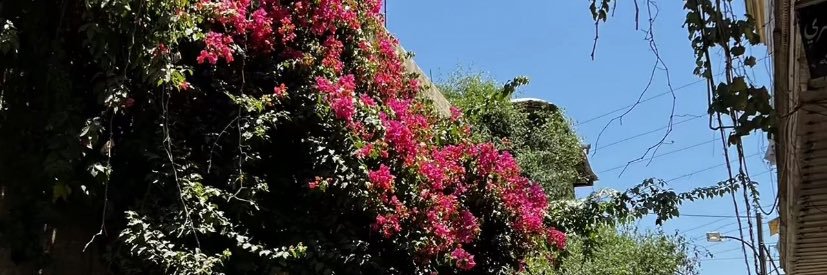 هاجر banner