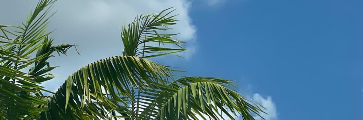 benson_kt's profile banner image