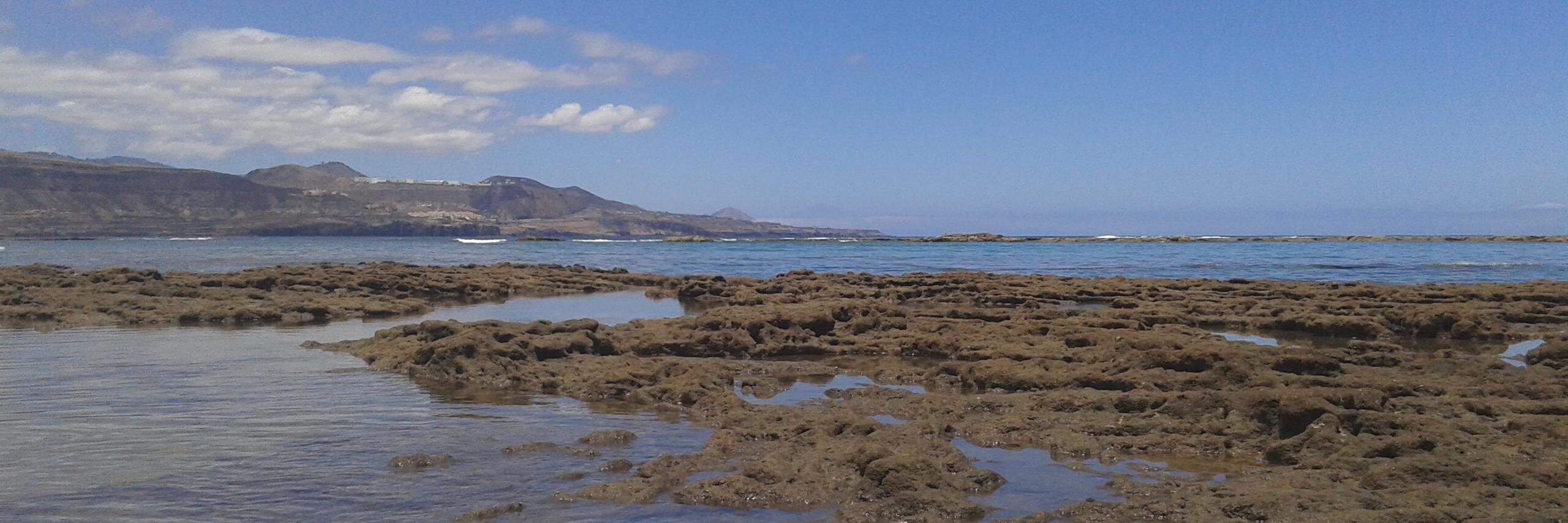 CanarionAca's profile banner image