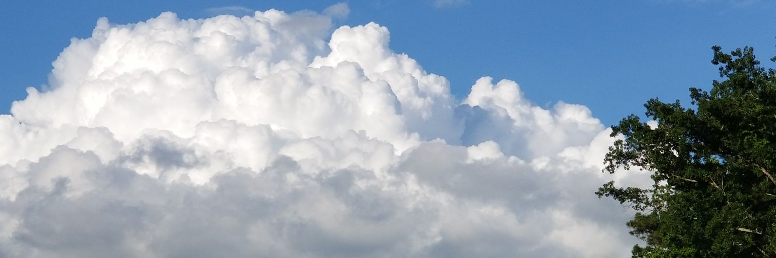 DianaBehling's profile banner image