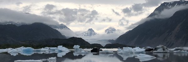 whitneykiker Profile Banner