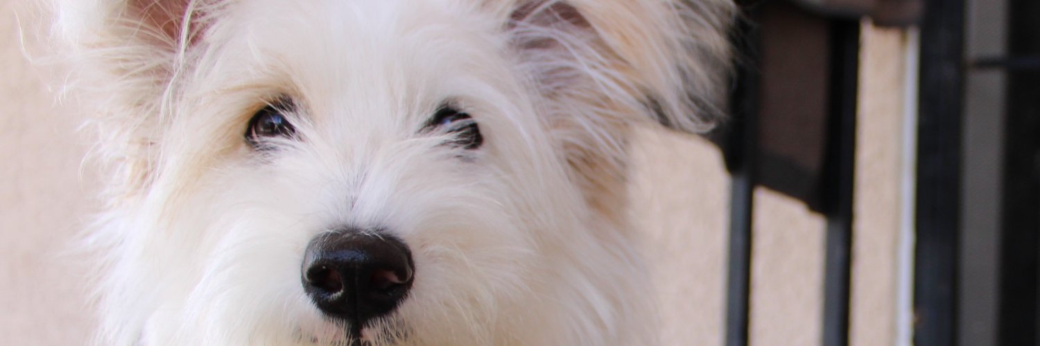 heidij12's profile banner image