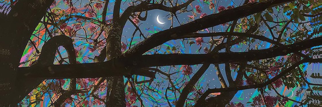 fechi_recalde's profile banner image