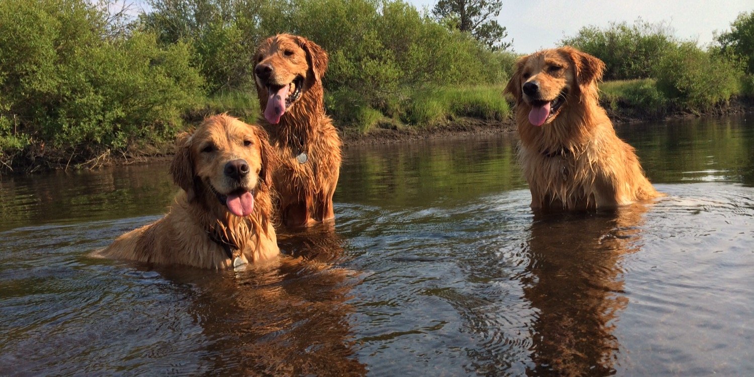 GlickSandy's profile banner image