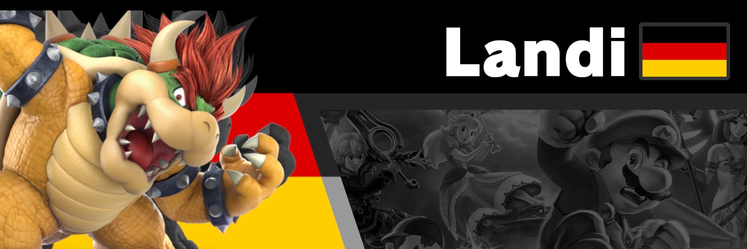 Landi banner