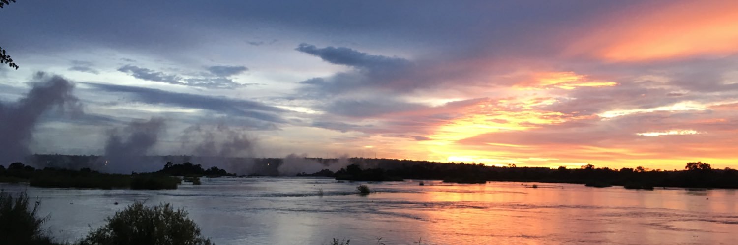 Seth Ari Sim-Son Hoffman banner