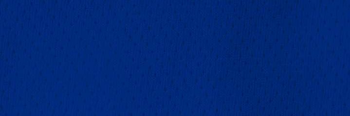 Frank Riccio banner