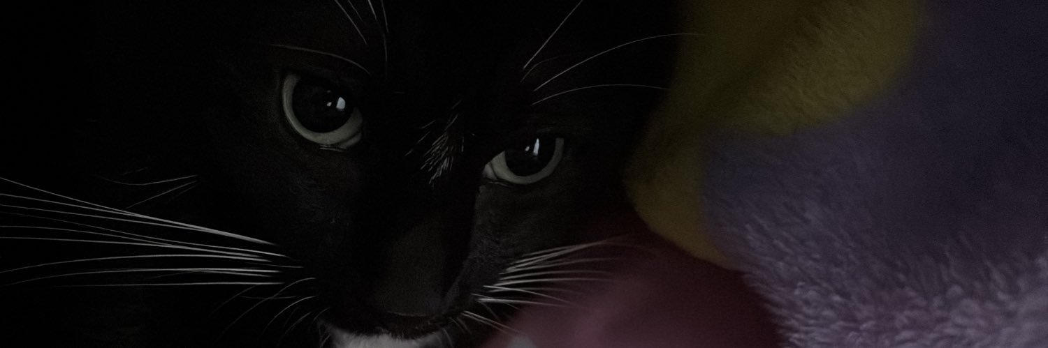sochisof's profile banner image
