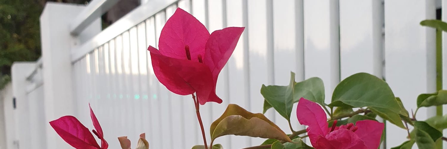 Loo Garoo & Boucles d’Or 💥🔥💦 banner